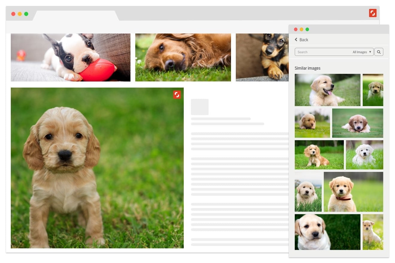 Cross site image search Google Chrome plugin